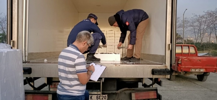 Rize’de 10 Ton İstavrite El Konuldu