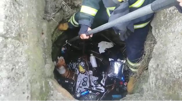 Kuyudan Köpek Kurtarma Operasyonu