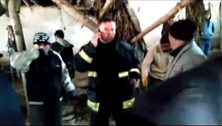 Van’da Çöken Ahırın Altında Kalan 22 Küçükbaş Hayvan Kurtarıldı