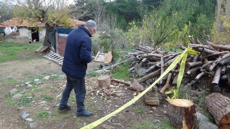 Edremit’te Bir Kadının Oğlu Tarafından Öldürüldüğü İddia Edildi