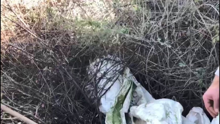 Diyarbakır’da Kıran-11 Operasyonu Başlatıldı