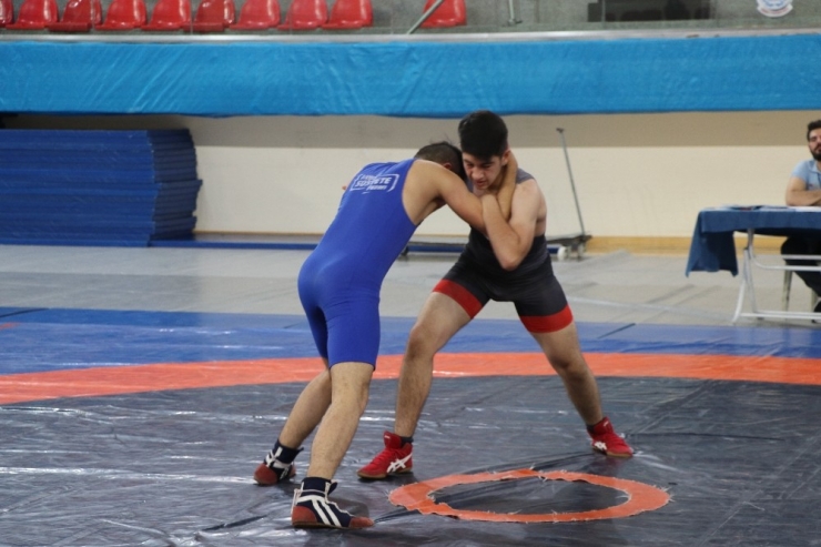 Genç Pehlivanlar Heyet-i Temsiliye Kupasında Mindere Çıktı