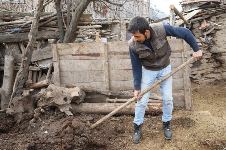 Feci Olaydan Sonra Hayatı Normale Döndü