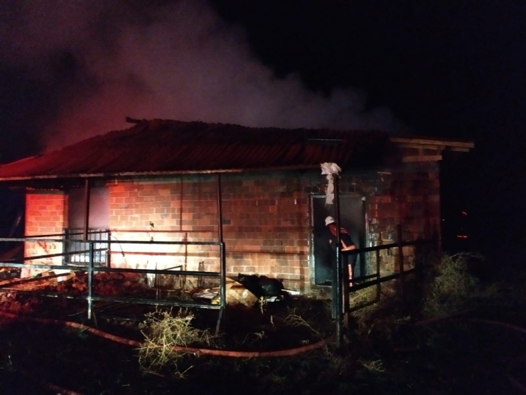 Malatya’da Ahır Yangını Korkuttu