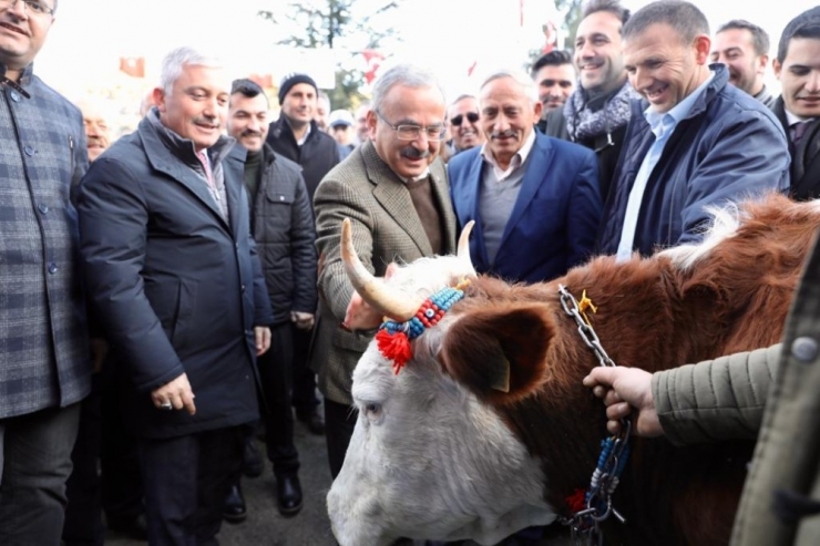 Ordu’da Hayvan Oteli