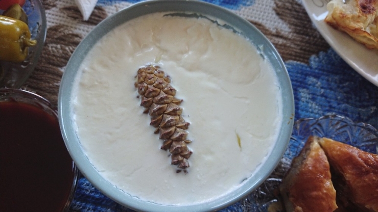 Şifa Kaynağı Çukurca Yoğurdu Marka Olma Yolunda