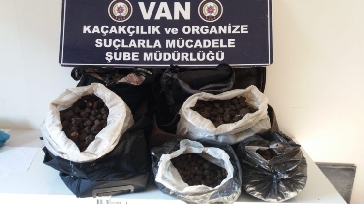İran Uyruklu Şahısların Valizlerinde 83 Kilo Trüf Mantarı Çıktı
