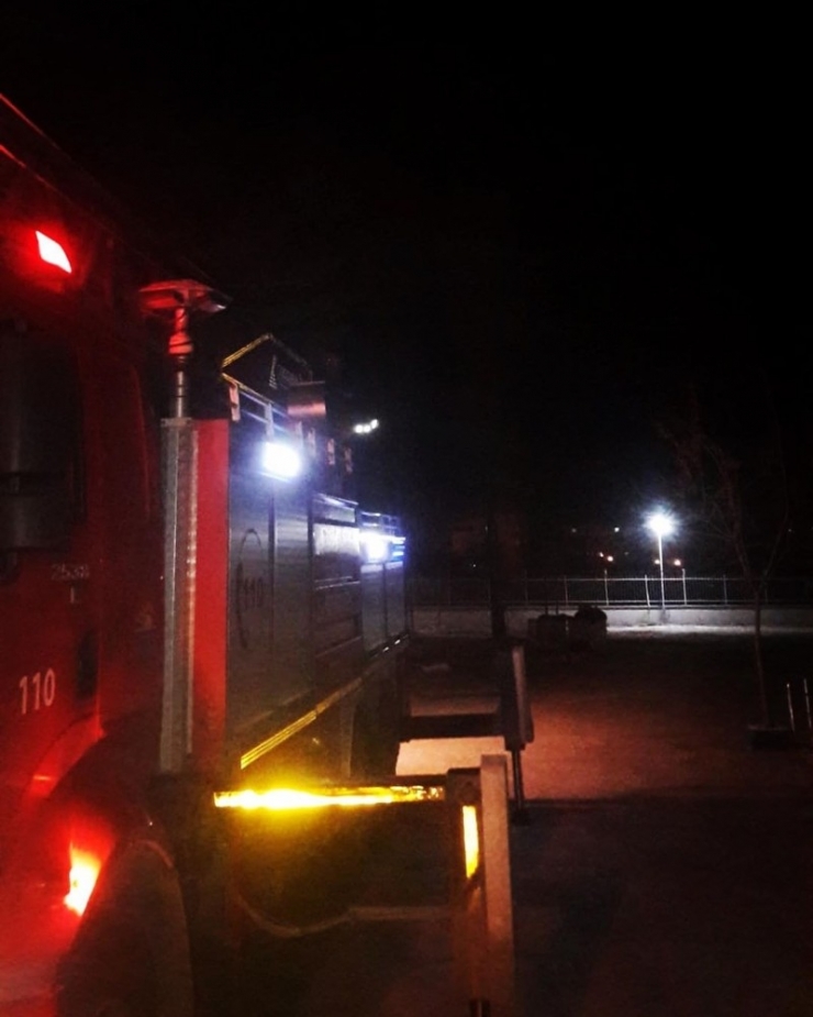 Ağaçta Mahsur Kalan Kediyi İtfaiye Kurtardı