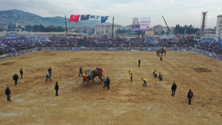 Başkan Çeçrioğlu Devesi ’Topuklu Efe’nin Güreşini Merakla İzledi