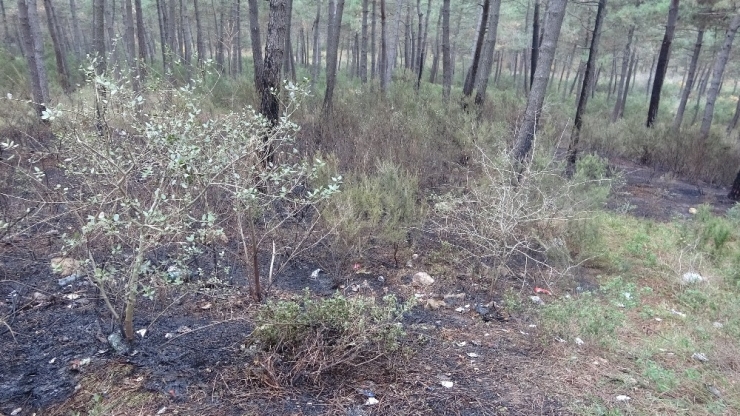 Aydos Ormanı’nda Üç Ayrı Noktada Yangın Çıktı