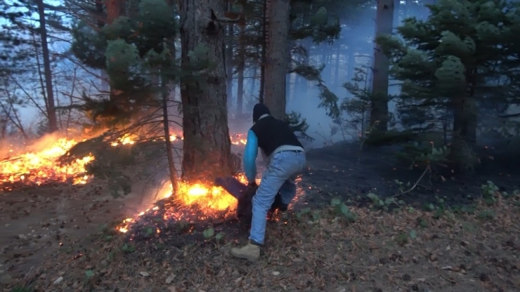 Uludağ Eteklerinde Orman Yangını