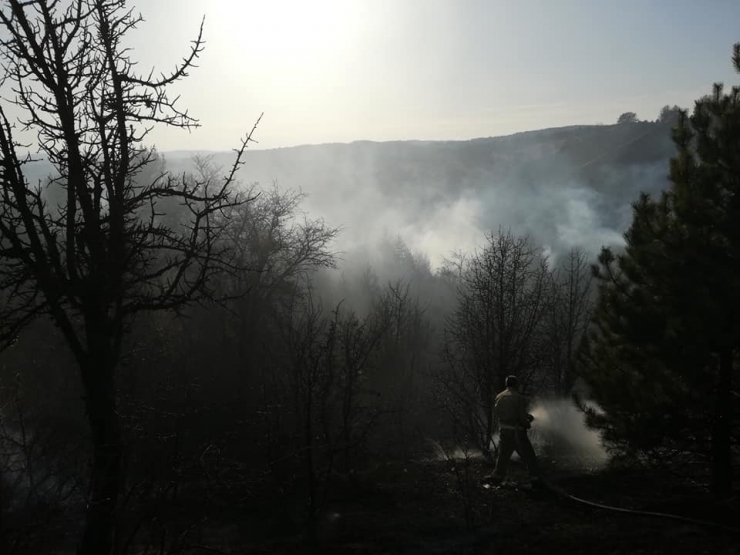 Devrekani’de Yangında 80 Dekarlık Alan Zarar Gördü