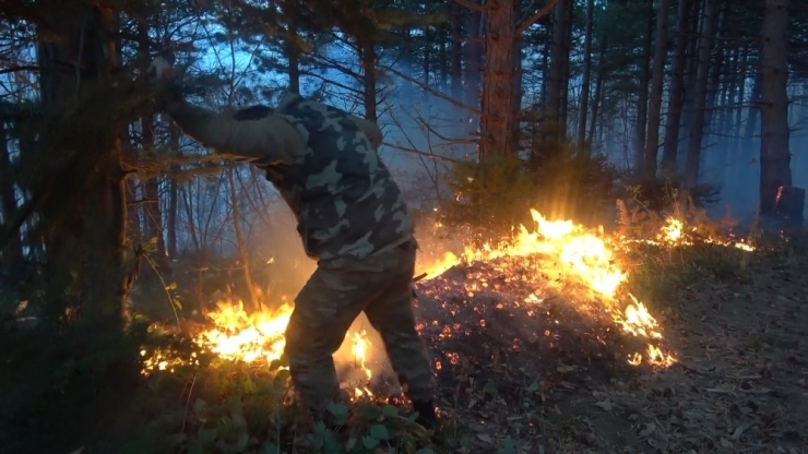 Orman Yangını Kontrol Altına Alındı