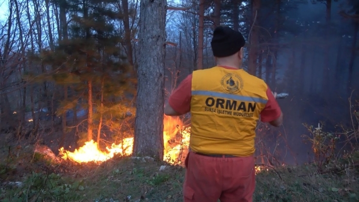 Orman Yangını Kontrol Altına Alındı