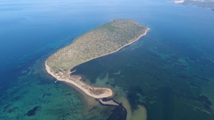 Fiyatı Güncellendi, 135 Milyon Lira