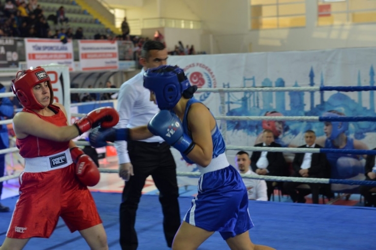 Türkiye Ferdi Boks Şampiyonası Erzurum’da Başladı