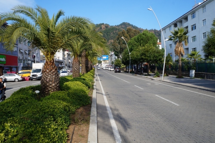 Marmaris’te Ağaçlandırma Seferberliği