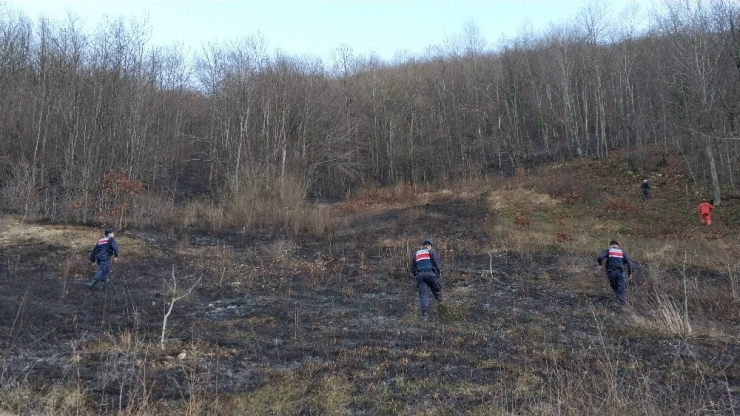 Samsun’da Ormanda Örtü Yangını