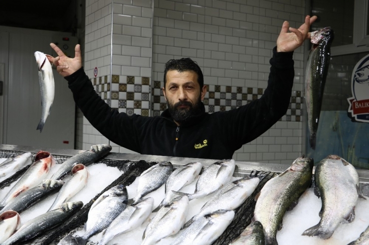 Balıkçılar Tedirgin; ’Önlem Alınmazsa Gelecek Nesil Tezgahlardaki Balığı Kitaplarda Görecek"