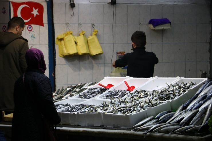 Balıkçılar Tedirgin; ’Önlem Alınmazsa Gelecek Nesil Tezgahlardaki Balığı Kitaplarda Görecek"