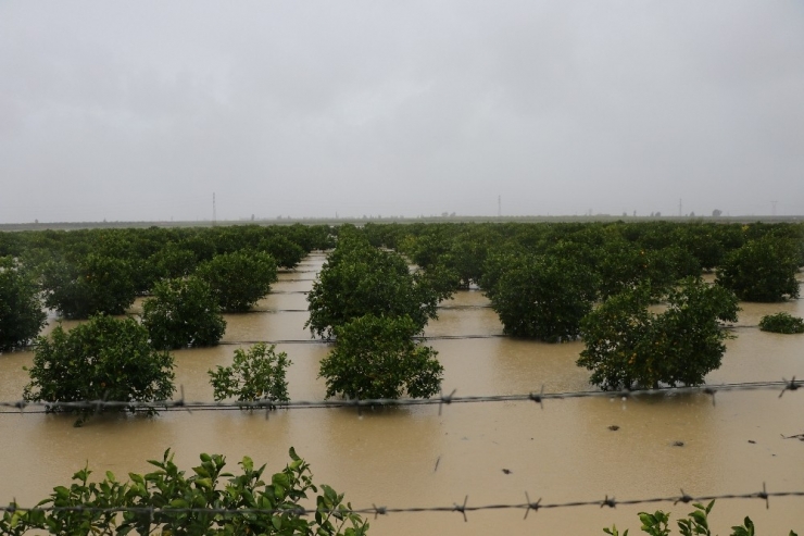 Adana’da Tarım Arazileri Sular Altında Kaldı