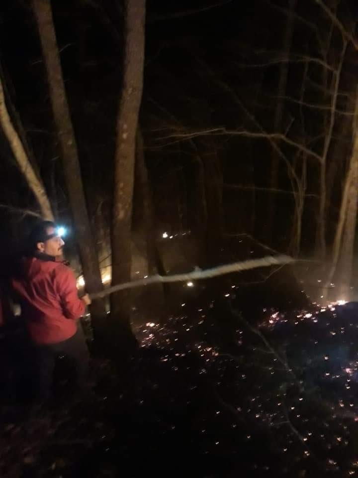 Artvin’de Orman Yangını