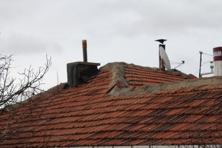 Bacada Çıkan Yangın Paniğe Neden Oldu