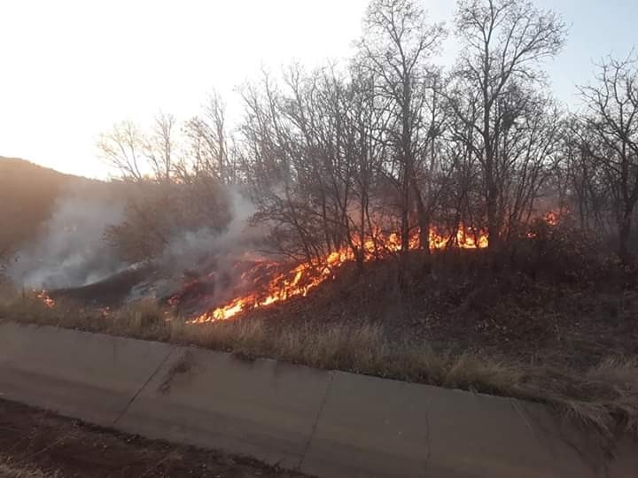 Bingöl’de Orman Yangını Büyümeden Söndürüldü