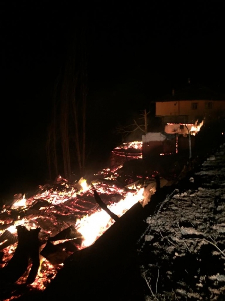 Cide’de Çıkan Yangında 3 Ev İle 1 Samanlık Kül Oldu