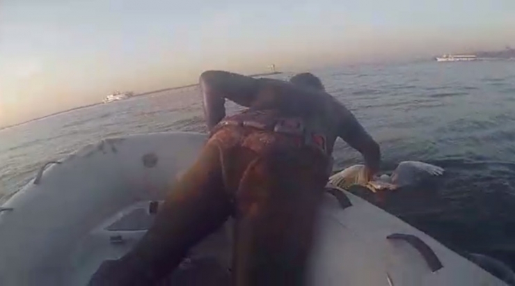 Dalgıçların, Gagasına Olta Takılan Martıyı Kurtarması Kamerada