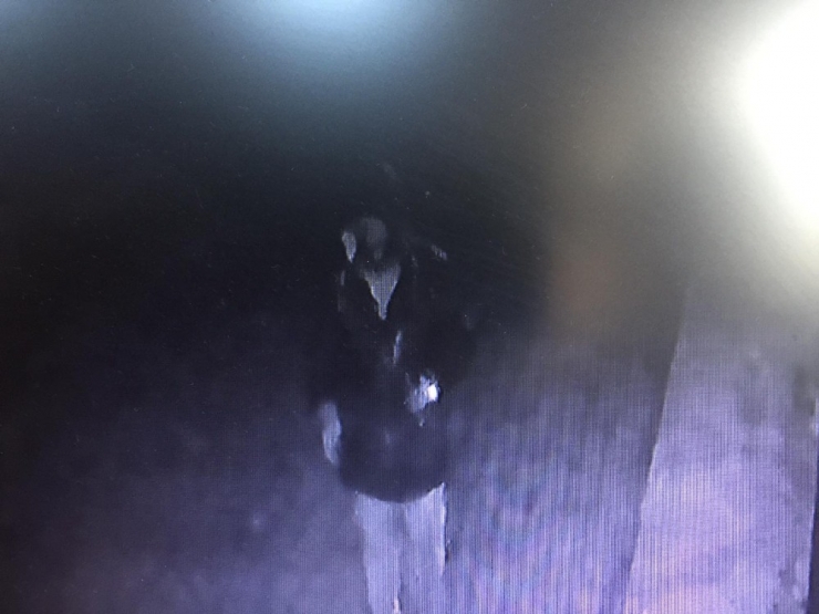 Muhtarı Vuran Şahsı Güvenlik Kamerası Görüntüledi