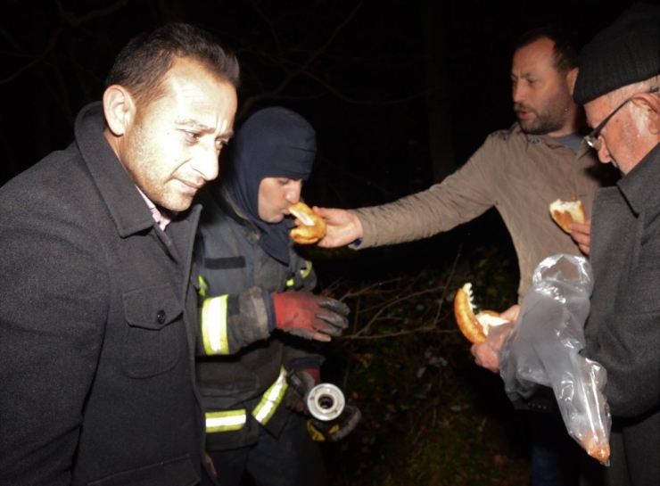 Ordu’daki Orman Yangınlarına Müdahale Sürüyor