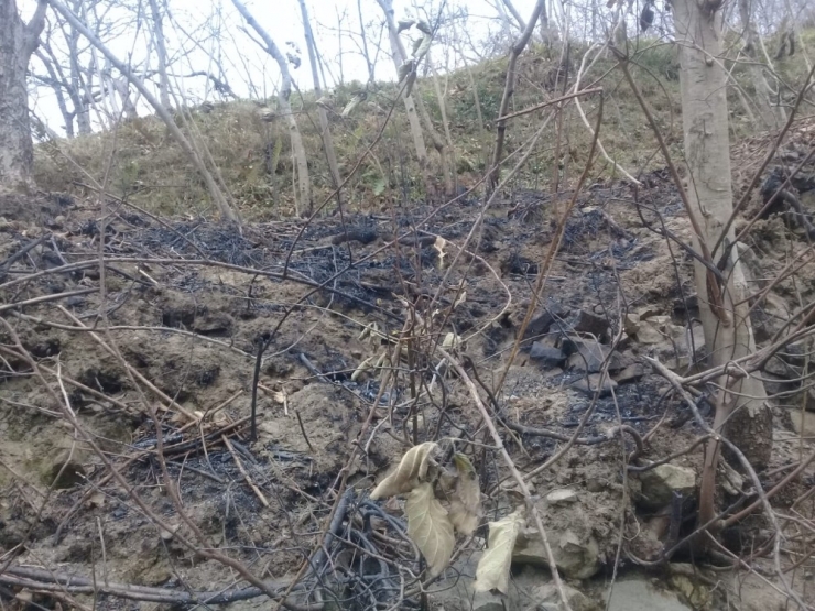 Yangının Bilançosu Gün Ağırınca Ortaya Çıktı