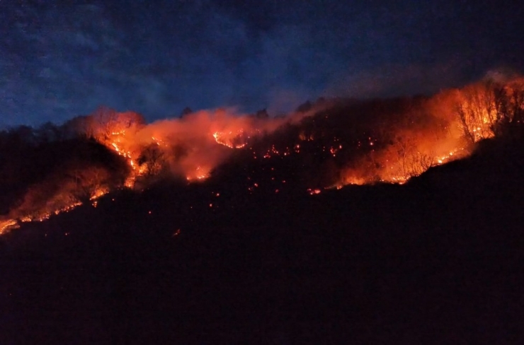 Ordu’da 100 Hektar Ormanlık Alan Kül Oldu