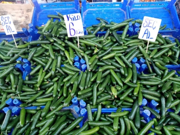 Salatalığa Yüzde Yüz Zam