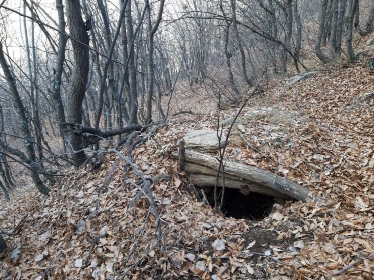 Bitlis’te “Kıran-8 Örenlik Ve Kısıklı” Operasyonları