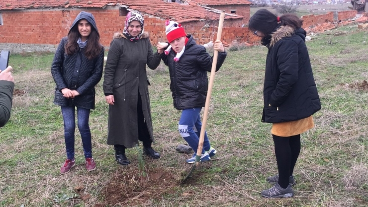 Keşan’da “Engelliler Ormanı” İçin Fidanlar Toprakla Buluştu