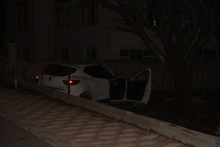 Elazığ’da Otomobil Bahçeye Uçtu: 2 Yaralı