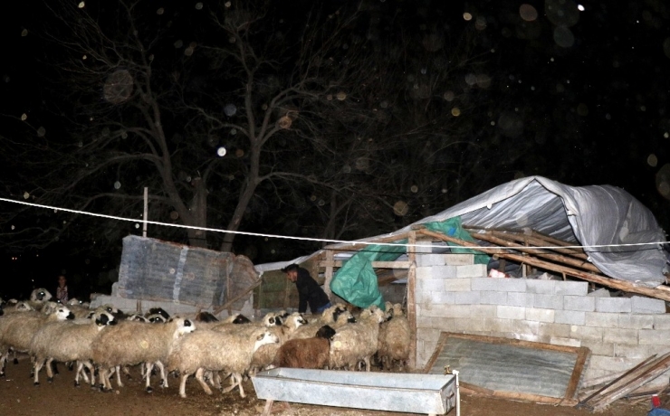 Erzincan’da Fırtına Çatıları Uçurdu, Ağaçları Kökünden Söktü