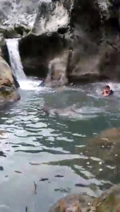 Kastamonu’da Horma Kanyonu’nda Suya Düşen Karaca Kurtarıldı