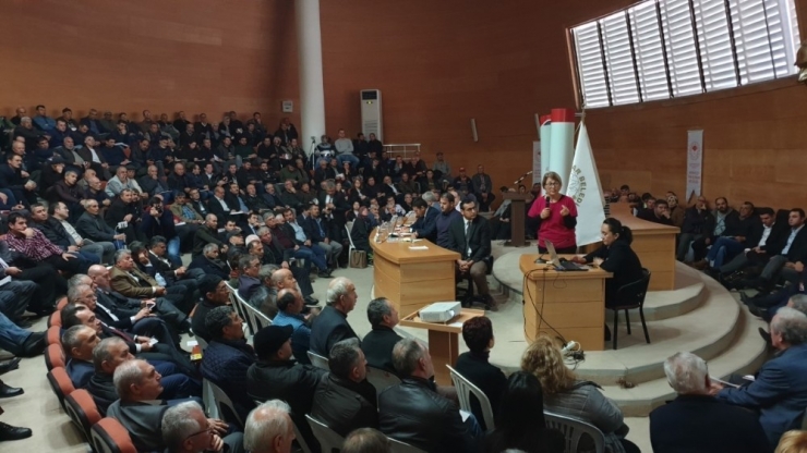 Akhisar’da ’Zeytin Hastalıkları Ve Zararlıları’ Konuşuldu