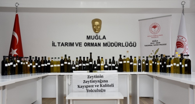 Kaliteli Zeytinyağı Yarışma Başvuruları Sone Erdi