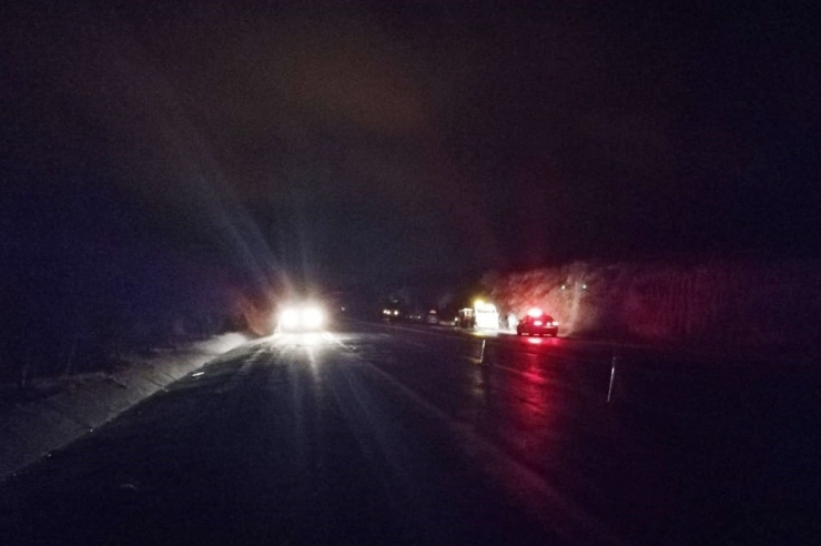 Yola Fırlayan Domuza Çarpan Otomobil Kullanılamaz Hale Geldi