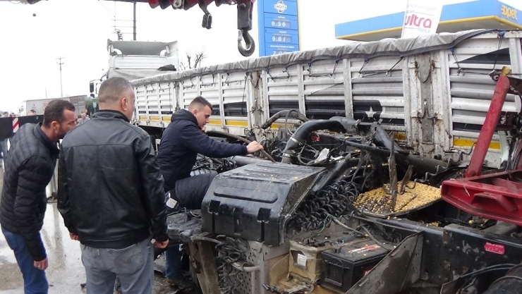 Facianın Eşiğinden Dönüldü