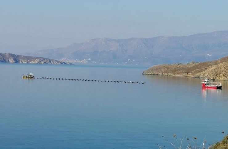 Erdekli Muhtarlar Midye Çiftliği İstemiyor