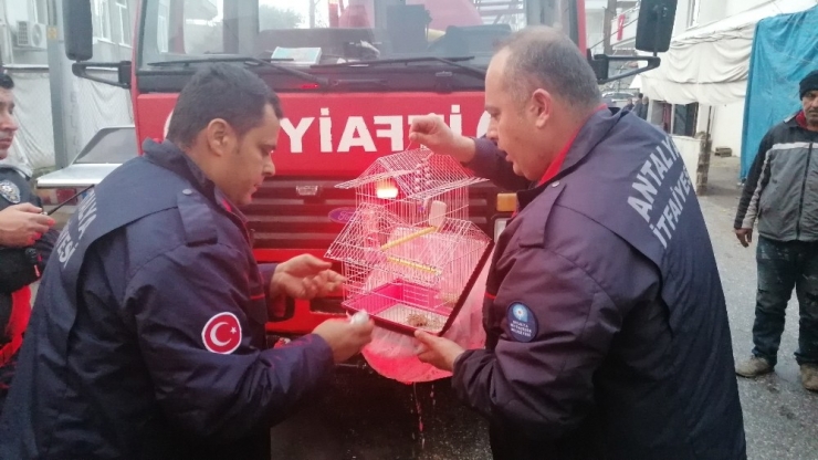 Yangın 3 Genç Kızın Hayallerini Yok Etti