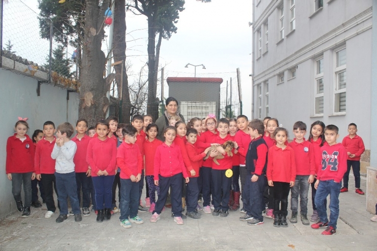 Minik Öğrencilerin "Paşa" Keyfi