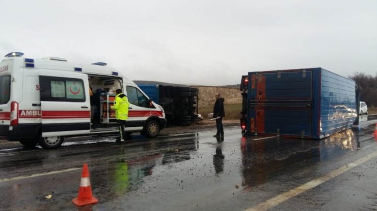 Kargo Kamyonu Devrildi: 2 Yaralı