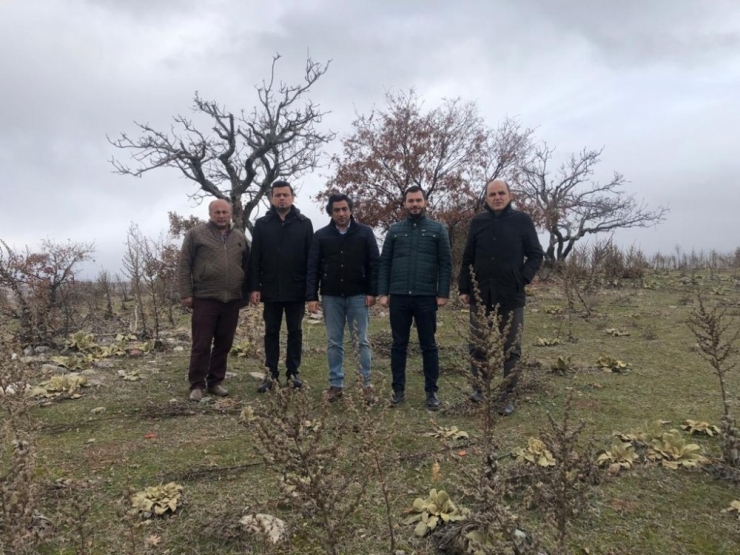 Bakan Pekcan Müjdeyi Vermişti, 34 Firma Başvuru Yaptı