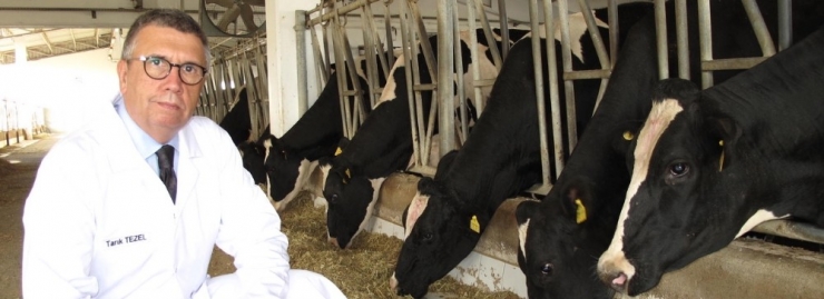 Setbir Başkanı Tezel 2020 Yılı Beklentilerini Açıkladı